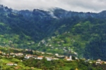 Terraced hills near Faial, Madeira