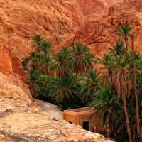 Gallery: The Mountain Oasis of Chebika, Tunisia