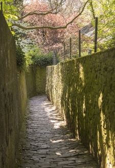 Path above old town of Heidelberg Germany